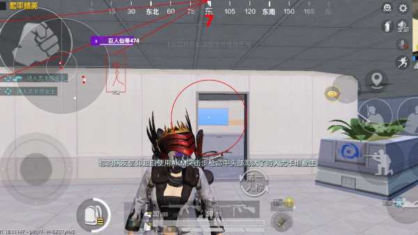 和平精英「雪花」直装辅助